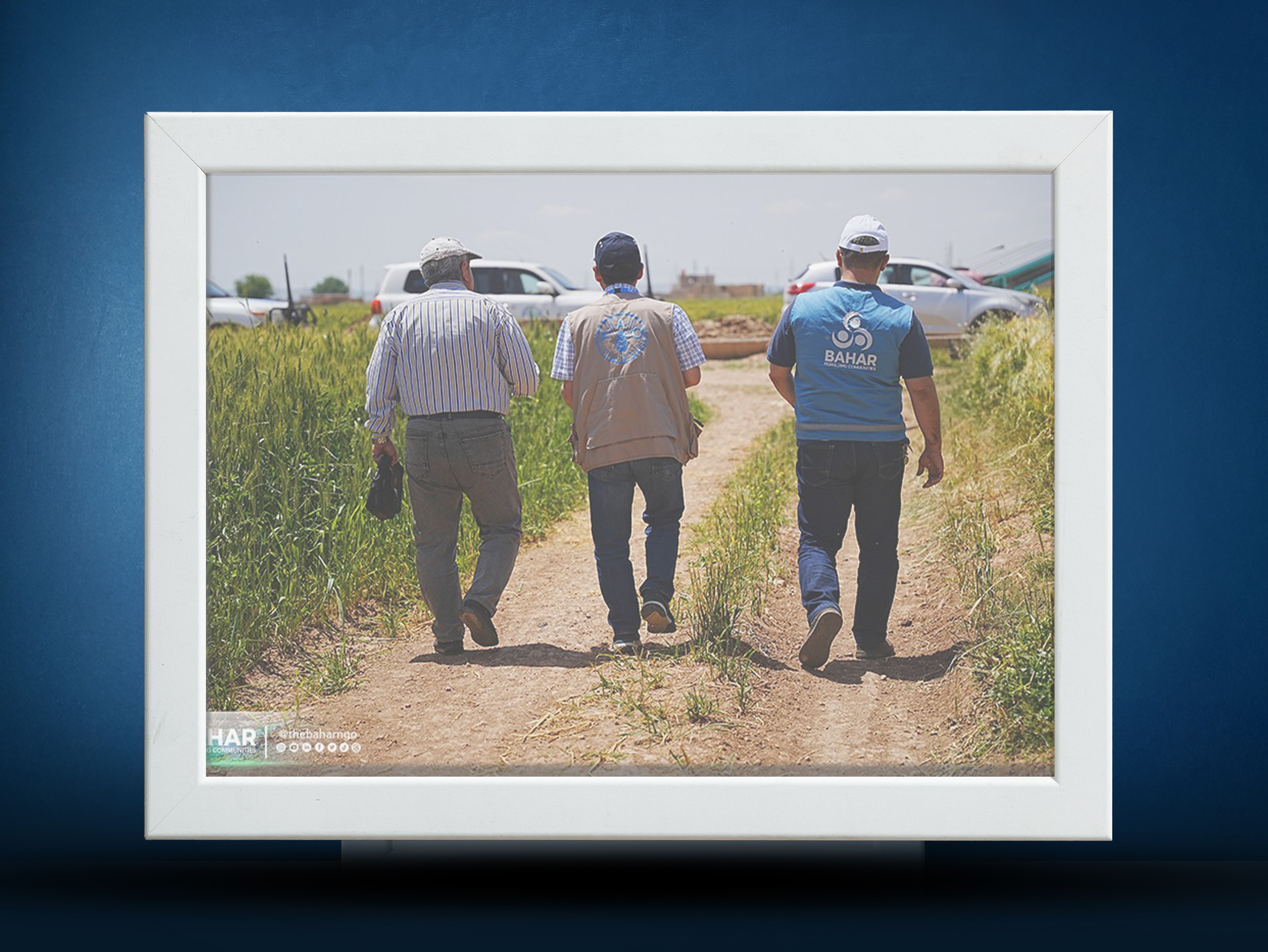 >Field Visit to Farmer Field Schools in Eastern Rural Aleppo