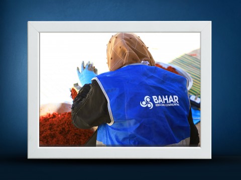 Bahar Organization distributing food industry