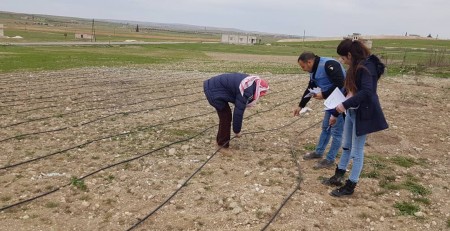 Restoring Livelihoods Through Agriculture Revitalization Project in North East Syria,