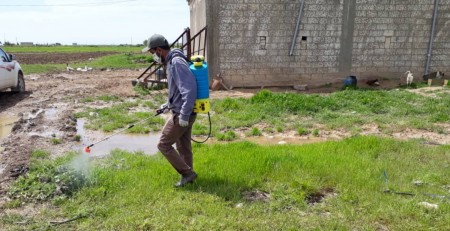 Advancing Livelihoods Through Support to Agricultural Markets in Syria