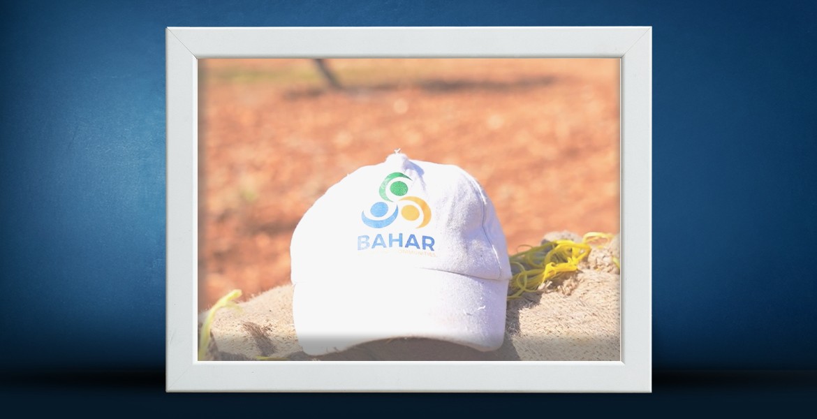 >Cash for Work Supporting Olive Farmers in Rajo and Azaz